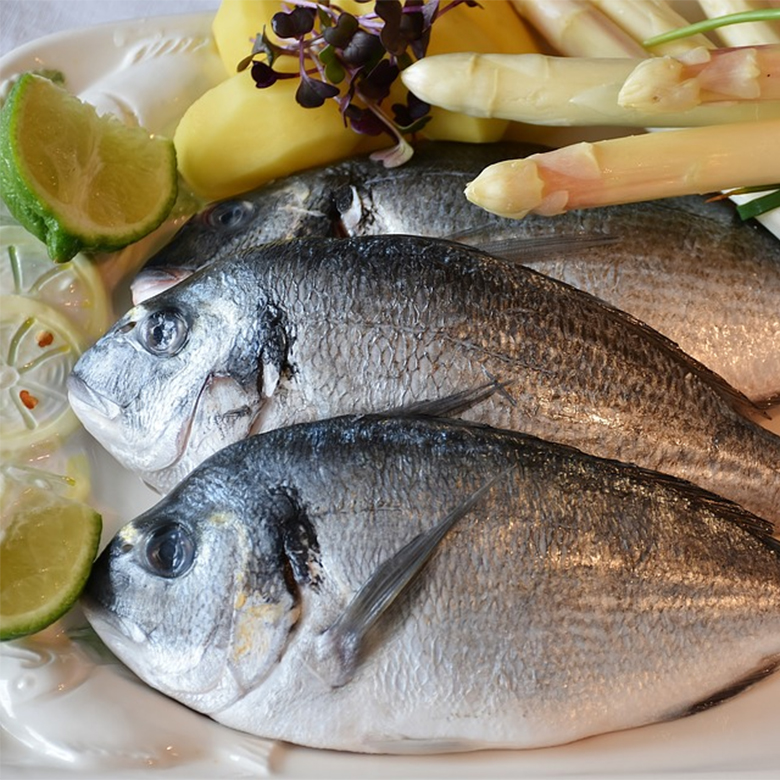 pescado-445 pescado-445